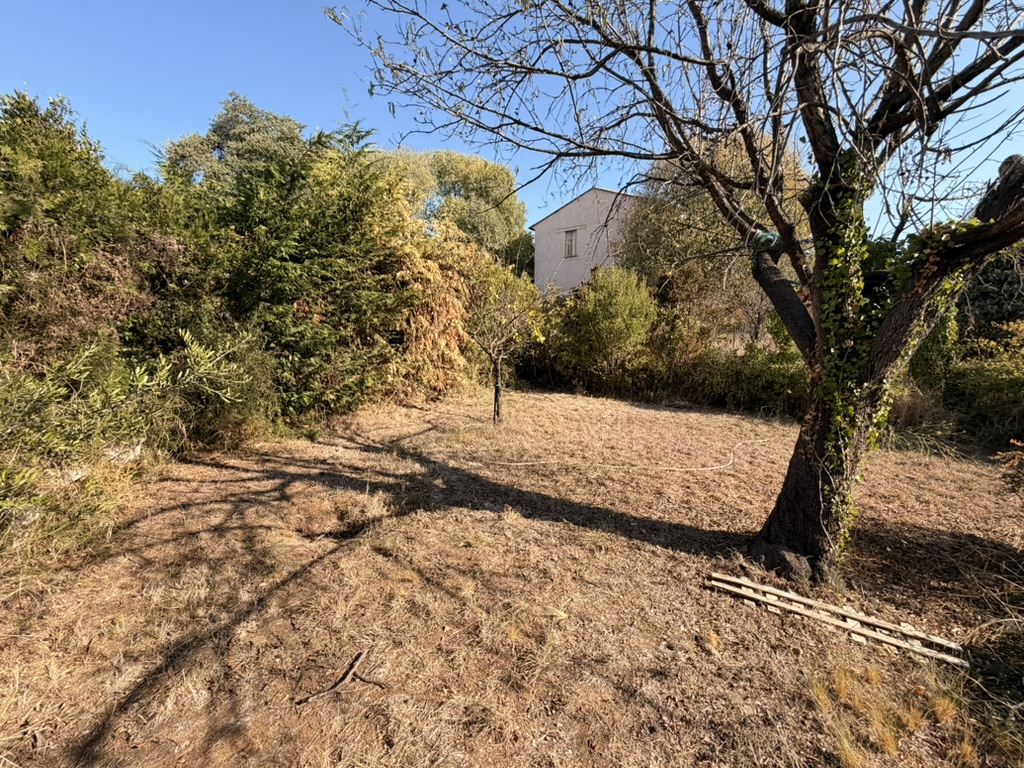 Agence immobilière de Alpaca Immobilier